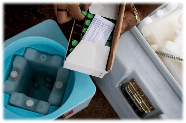 Healthcare Supply Chain Management